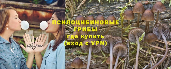 ешки Мегион