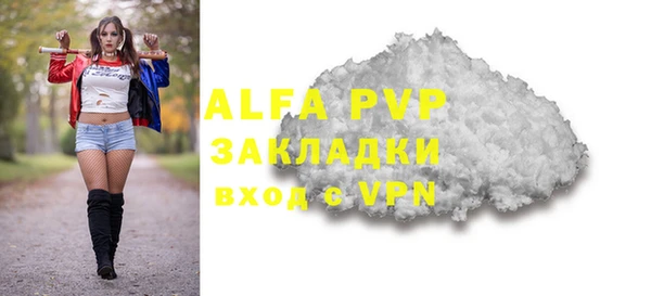 прущие грибы Михайлов