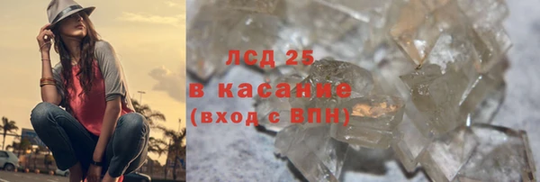прущие грибы Михайлов