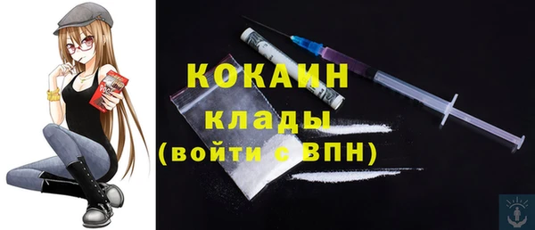 прущие грибы Михайлов