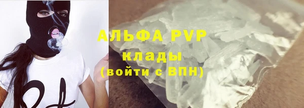 прущие грибы Михайлов
