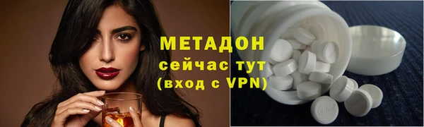 прущие грибы Михайлов