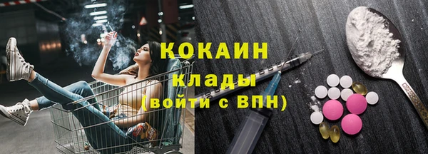 прущие грибы Михайлов
