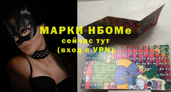 прущие грибы Михайлов