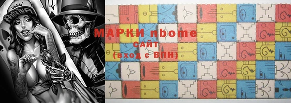 прущие грибы Михайлов