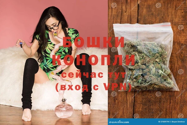прущие грибы Михайлов