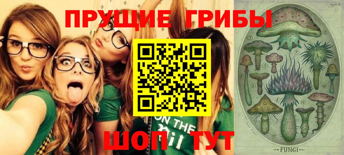 Ульяновск  Псилоцибиновые грибы мухоморы  Галлюциногенные грибы MAGIC MUSHROOMS  Вход с VPN 