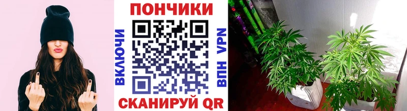 наркота  kraken   МАРИХУАНА White Widow  Ульяновск 